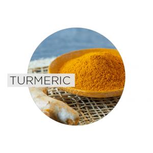 Turmeric Background and Benefits