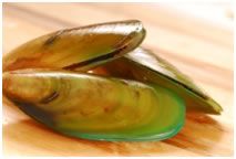 Health Benefits and Uses of Green Lipped Mussel Powder  GlycoOmega Plus  pain  xtendlife  xtendlifethailand