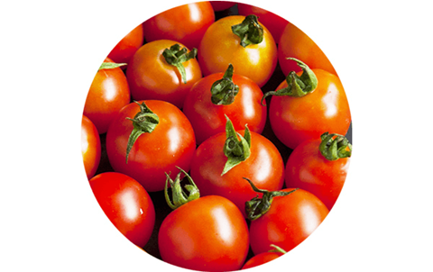 Fight Inflammation  tomatoes  xtendlife  xtendlifethailand