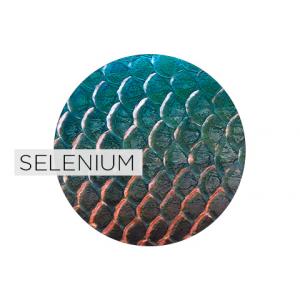 L-Selenomethionine Background and Benefits