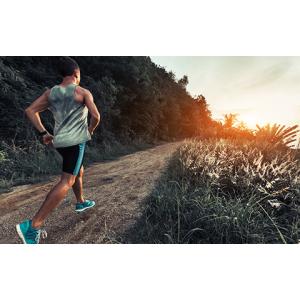 Ubiquinol May Help Support Physical Performance